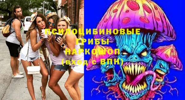 винт Аркадак
